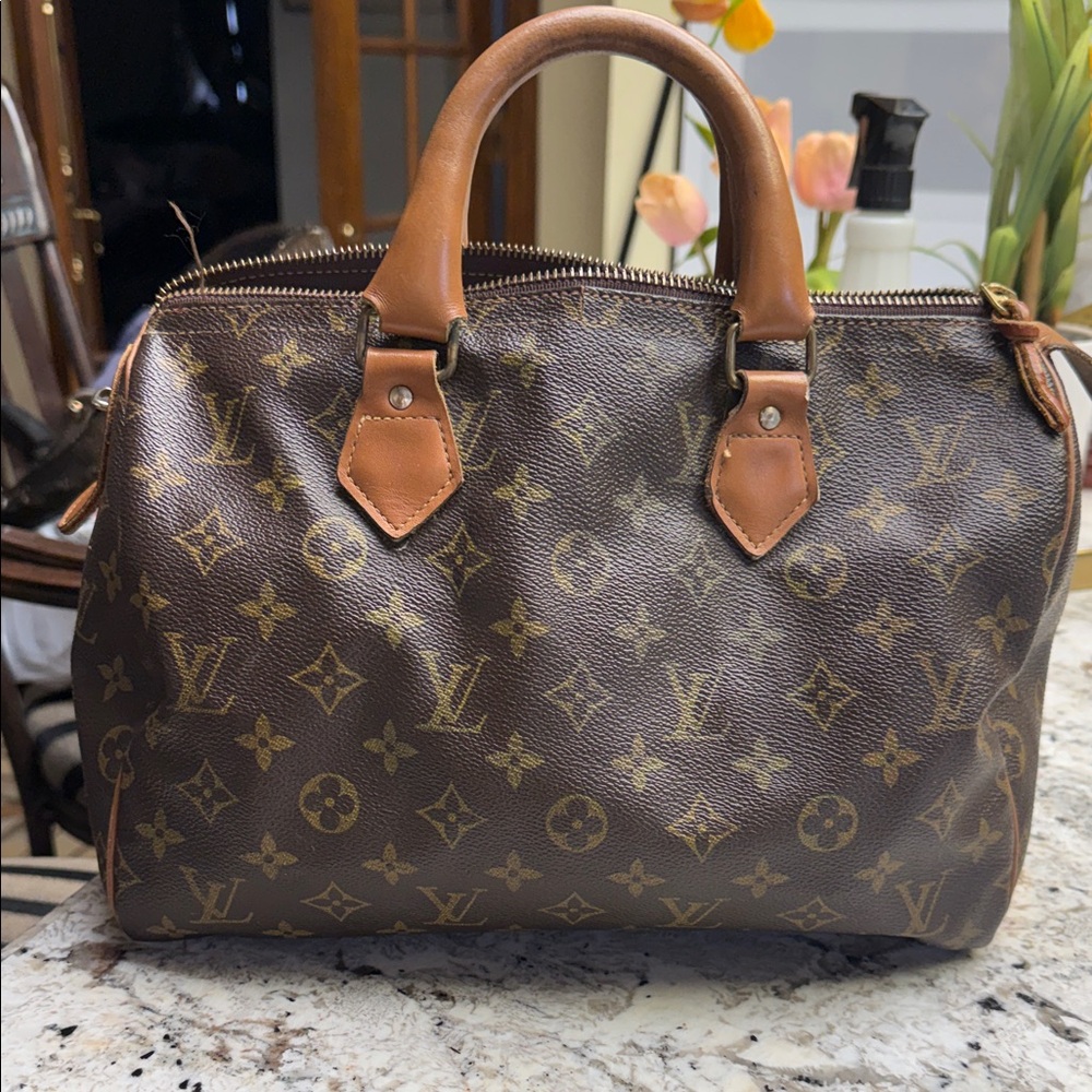 Louis Vuitton Monogram Satchel with Tan Accents